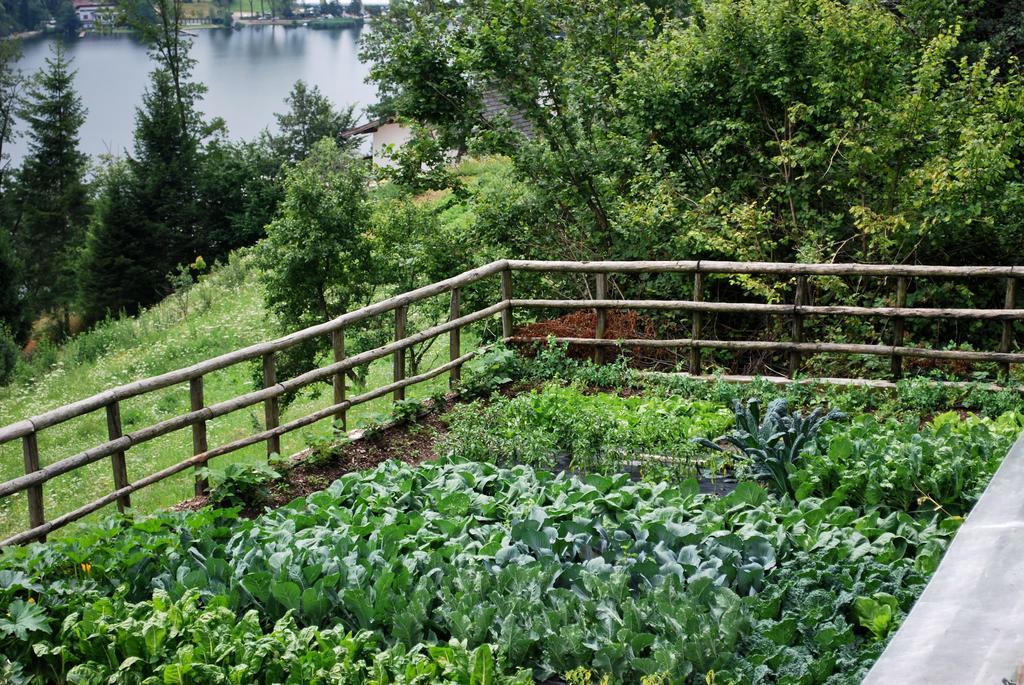 Maso La Vecchia Quercia Vendégház Baselga di Pinè Kültér fotó